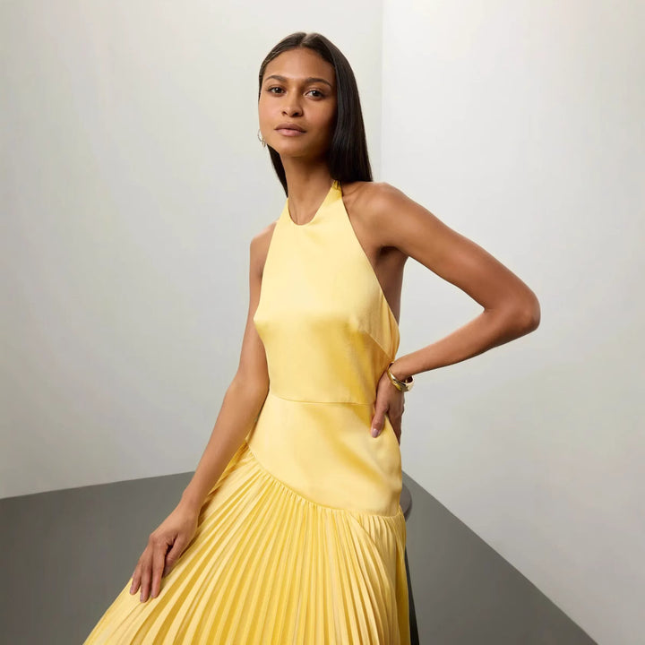 Dames Elegant Maxi Kjole med Flytende Plisserte Skjørt og Halter Hals Design