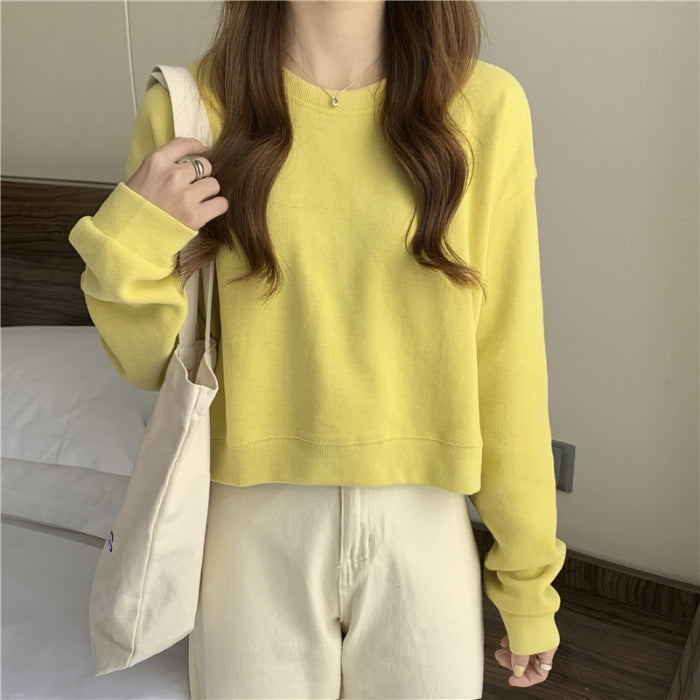 Kvinne casual cropped genser laget av myk bomullsblanding med stilren rund hals Skjora
