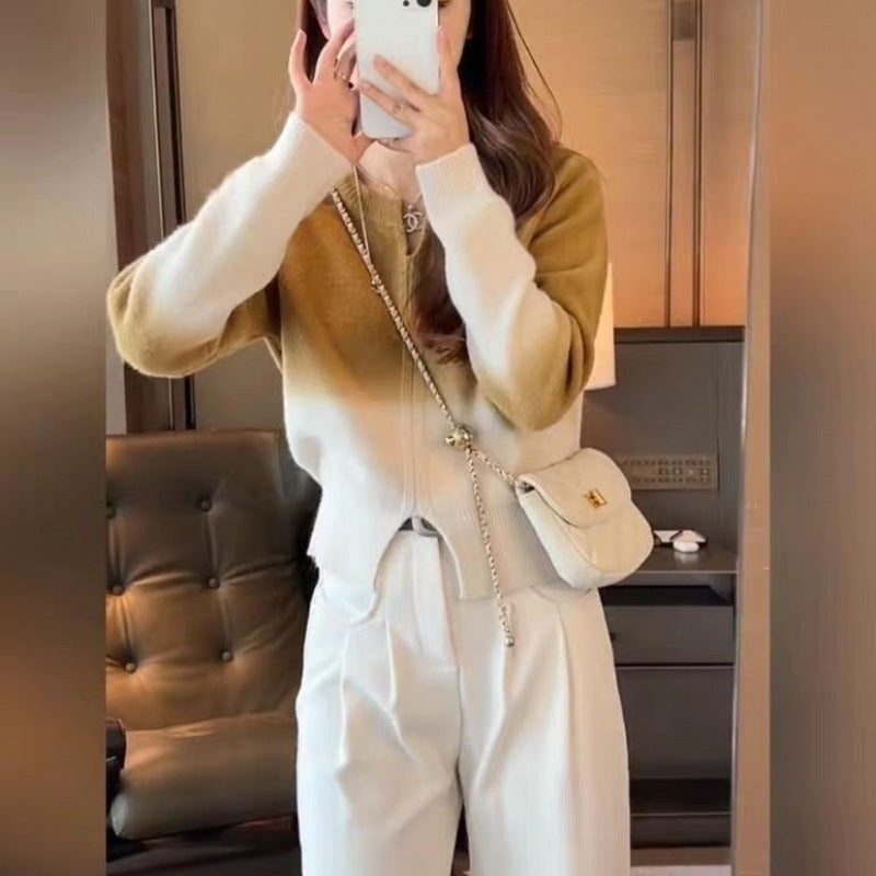Kvinnens koselige overgangs pullover med elegant V-hals og glidelås